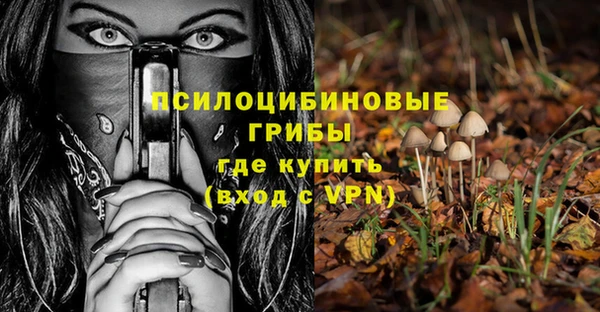твердый Богородск