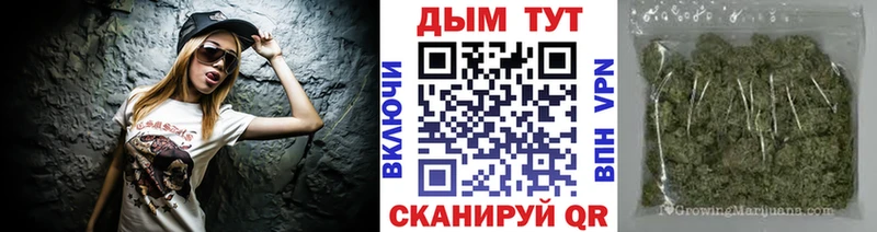 Конопля сатива  как найти закладки  Нолинск 